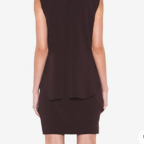 NEW $595 BLACK Theory Theyskins "Dinta" Wool/Silk Sleeveless Dress 4 Small - Picture 4 of 12